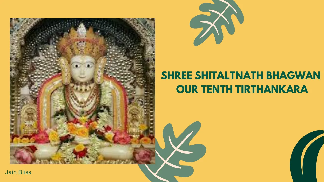 JBTH 10 - Shree Shitaltnath Bhagwan - The Tenth Tirthankara