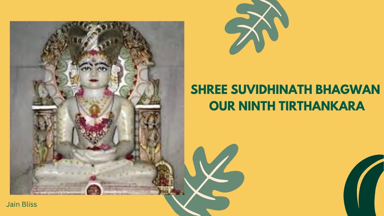 JBTH 09 - Shree Suvidhinath Bhagwan - The Ninth Tirthankara